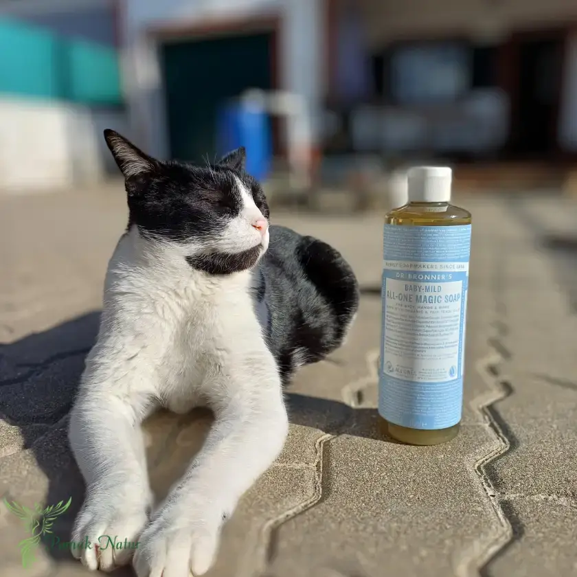 Cuida la piel delicada de tu bebé (aunque no exento de lágrimas) con nuestro jabón líquido, formulado con el doble de aceite de oliva virgen extra y sin fragancias añadidas. Su espuma suave y cremosa limpia sin irritar, dejando la piel hidratada y protegida. Elaborado con ingredientes orgánicos, es ideal para pieles sensibles y propensas a la dermatitis atópica.